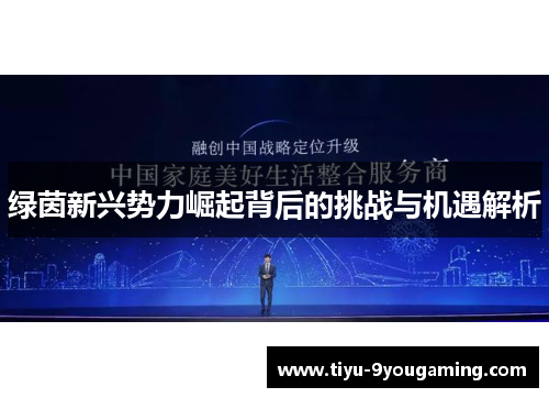 绿茵新兴势力崛起背后的挑战与机遇解析