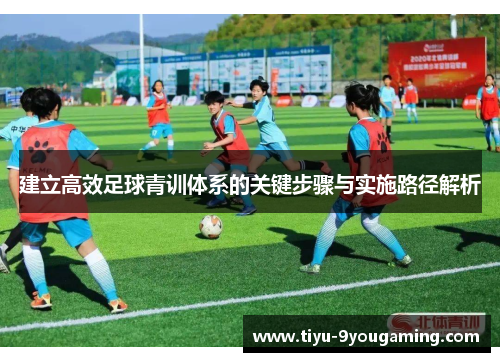 建立高效足球青训体系的关键步骤与实施路径解析
