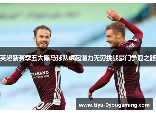 英超新赛季五大黑马球队崛起潜力无穷挑战豪门争冠之路