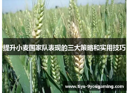 提升小麦国家队表现的三大策略和实用技巧
