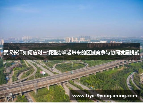 武汉长江如何应对三镇强势崛起带来的区域竞争与协同发展挑战