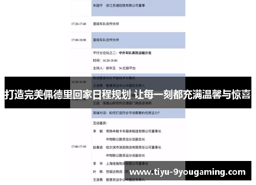 打造完美佩德里回家日程规划 让每一刻都充满温馨与惊喜