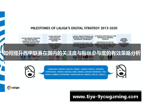 如何提升西甲联赛在国内的关注度与粉丝参与度的有效策略分析