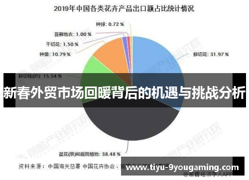 新春外贸市场回暖背后的机遇与挑战分析