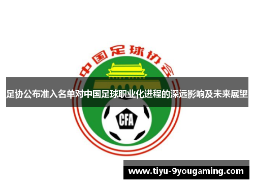 足协公布准入名单对中国足球职业化进程的深远影响及未来展望 足协公布准入名单对中国足球职业化进程的深远影响及未来展望
