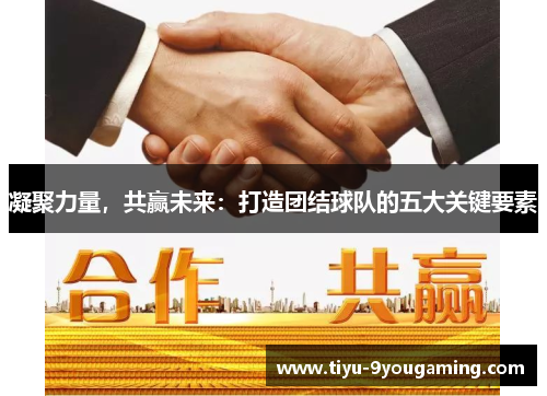 凝聚力量，共赢未来：打造团结球队的五大关键要素