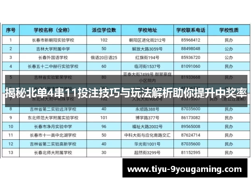 揭秘北单4串11投注技巧与玩法解析助你提升中奖率