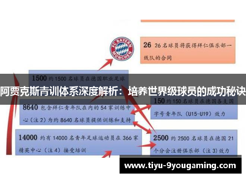 阿贾克斯青训体系深度解析：培养世界级球员的成功秘诀
