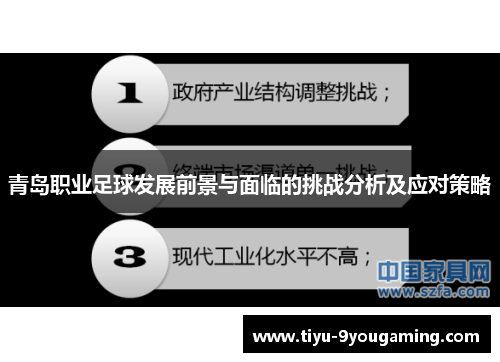 青岛职业足球发展前景与面临的挑战分析及应对策略